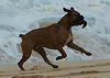 (December 12, 2010) North Shore - Lifestyle 1